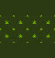 cannabis seamless pattern vector image vector image