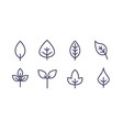 leaf design line icon green vector image