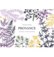 traditional provence herbs banner design frame vector image vector image