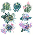 set succulent plants flowers and cactuses vector image
