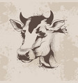 graphic ink drawing sketch the head of a cow vector image