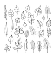 set of doodle leaves plants for coloring book vector image