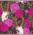 deer skull and pink peony seamless pattern vector image vector image