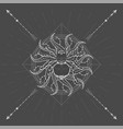 spider tarantula vector image