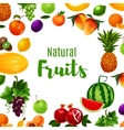 fruit or vitamin or organic food poster vector image vector image