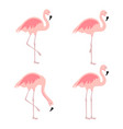 cartoon pink flamingo set cute flamingos vector image