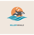 killer whale icon vector image
