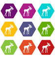 moose icon set color hexahedron vector image