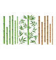 realistic bamboo stick brown and green tree vector image vector image
