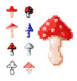 Amanita fly agaric toadstool mushrooms fungus Vector Image