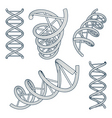 dna symbols set vector image vector image