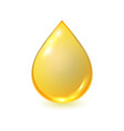 golden oil drop isolated on white vector image