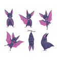 bat night wild flying scary animals mouse vampire vector image vector image