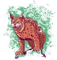 bobcat on a green background vector image