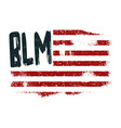 black lives matter symbol american flag vector image