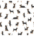 chihuahua seamless pattern dog healthy silhouette vector image vector image