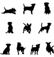 jack russell terrier silhouette black vector image
