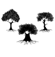 9 vector image vector image