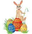 card with bunny and easter eggs vector image vector image