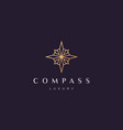 compass logo concept in a modern and luxury style vector image