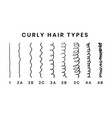 hair types chart with all vector image