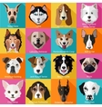 set of flat dogs icons vector image vector image