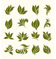 set silhouettes stylized leaves vector image