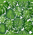 pattern with tropical leaves vector image
