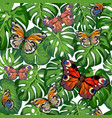 tropical leaves and butterflies vector image