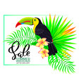 summer sale composition with toucan flowers vector image