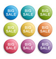 colorful circle buttons or badges design elements vector image vector image