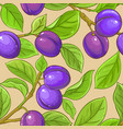 plum branches pattern on color background vector image