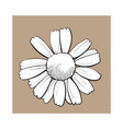 open chamomile blossom top view sketch style vector image