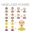 information chart of hair loss stages types vector image