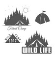 wild life - forest camp scout club emblem vector image