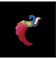peacock colored birds of a modern vector image vector image