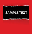 ripped paper vector image vector image