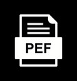 pef file document icon vector image vector image