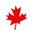 canadian red maple leaf vector image