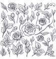 set of roses and leaves hand drawn vector image vector image