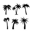 palm trees black silhouettes set vector image