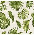 seamless exotic pattern with tropical leaves vector image vector image