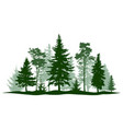 evergreen forest pine tree isolated park alley vector image vector image