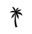 palms tree icons vector image
