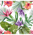 vivid tropical rainforest flowers foliage vector image
