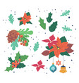 winter collection of berries and leaves vector image vector image