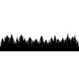 fir trees silhouette forest vector image