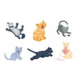 cats set vector image
