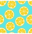 cute seamless pattern with yellow lemon slices vector image