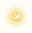 dove in sun lights vector image
